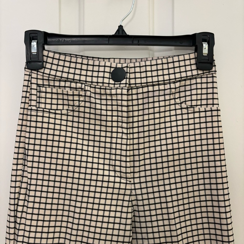 Zara High Rise Skinny Pants